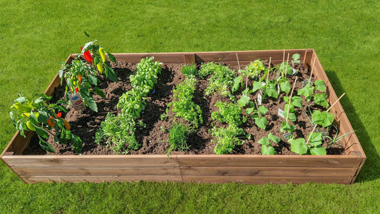 Moestuinbak met worteldoek, ideaal voor groente en fruit, plantenbakken voor buiten.