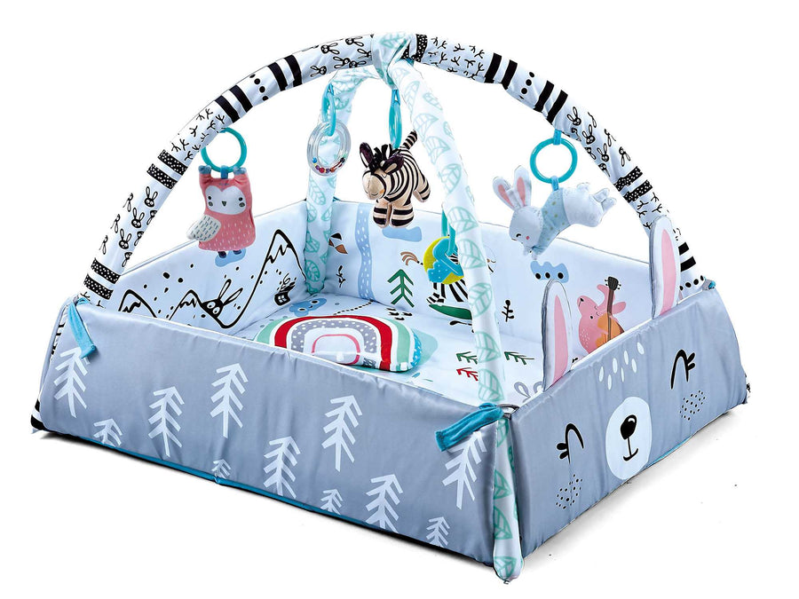 4in1 Uitklapbaar Speelkleed Baby met Boog – Babygym met ballenbak incl. 20 ballen - Ontdek Ultiem Speelplezier!