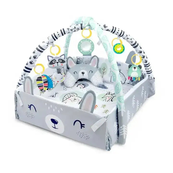 4in1 Uitklapbaar Speelkleed Baby met Boog – Babygym met ballenbak incl. 20 ballen - Ontdek Ultiem Speelplezier!