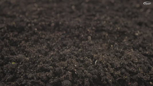 Kweektafel - Geïmpregneerd - Grijs