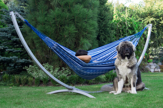 "Luxe 2-persoons hangmat Pereira 320*160 in blauw, voor ultieme ontspanning."