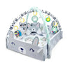 Babygym Speelmat met Boog  -4 in 1 -Konijn