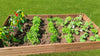 "Ideaal voor het kweken van fruit, groenten, kruiden en bloemen, deze moestuinbak voor buiten."