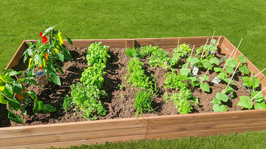 Moestuinbak met worteldoek, ideaal voor groente en fruit, plantenbakken voor buiten.