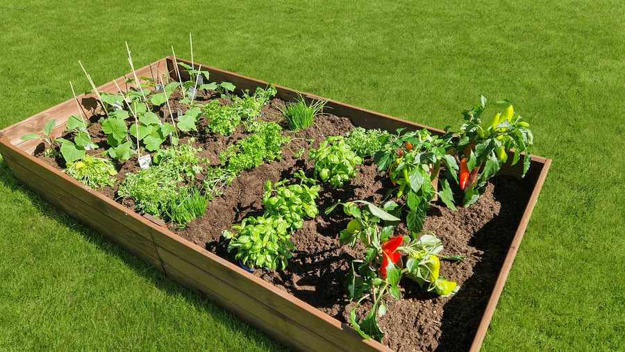 "Ideaal voor het kweken van fruit, groenten, kruiden en bloemen, deze moestuinbak voor buiten."