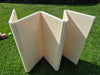Baby Speelmat Foam 180x200x1,5 cm – Opvouwbaar & Schokabsorberend  - Dino