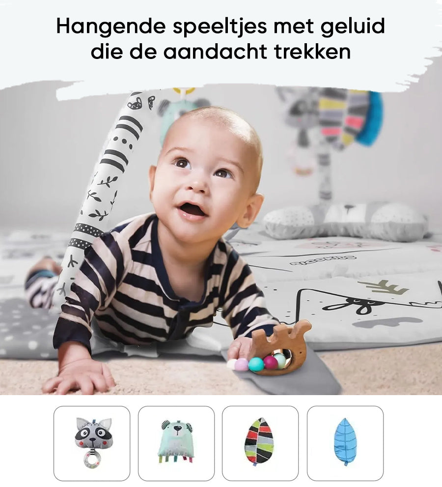 Multifunctionele Babygym Speelmat met Boog