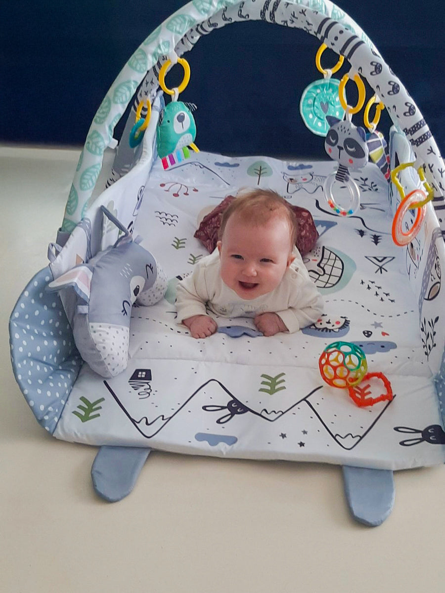 Babygym Speelmat met Boog  -4 in 1 -Konijn