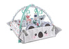 Babygym Speelmat met Boog - 5 in 1 - Panda