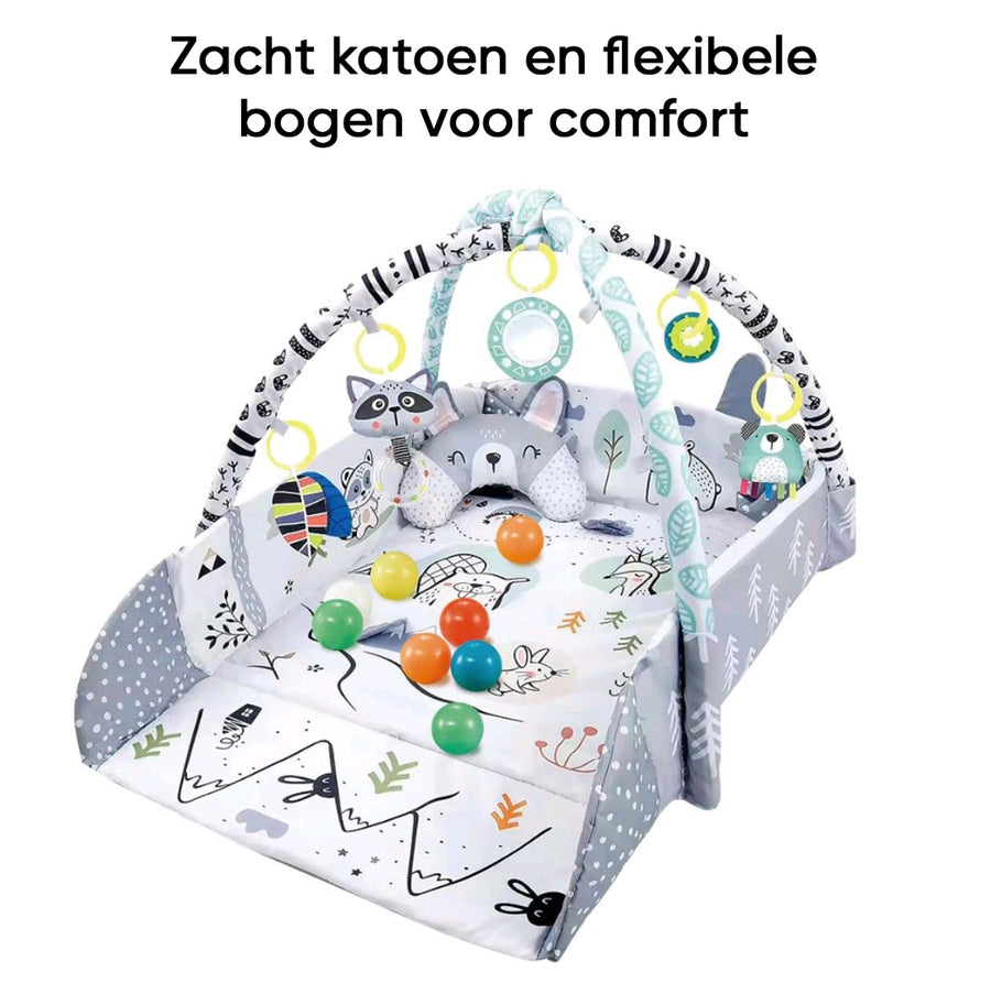 Multifunctionele Babygym Speelmat met Boog